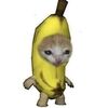 sa.______2
