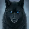 george.dlwolf