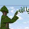 user3315813361796