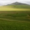 user4797019013308