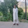 tatheernaqvi65