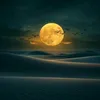 ali._al_badriny