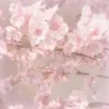 luckyhailiee