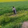 naima.naim19