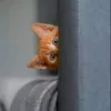 o0__.o0o