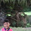 taskinahmed7487