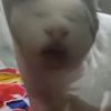 soodteaw