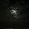 mhamad.753