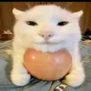 fntd_tickler