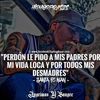 dnl.aniceto