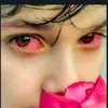 hashim.hussain571