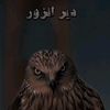 user2087476617833