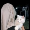 pekhawar.pesho