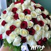 user1925581009480