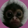 silliess_yippie