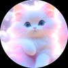 judy.mohamed4434