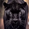 mahdi.muhammed56
