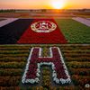 hilal.ahmad4763