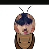 heomapff_ht