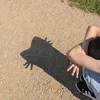 scarlettcxx