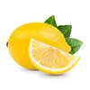 buy.a.lemon2