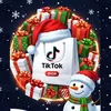 Tik Tok Shop  🛍️