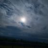 casi_1230