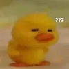 yellowguy_lpz