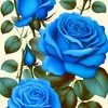 user5620009192320