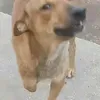 h_s7n0