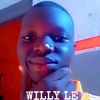 willy.le.mauvais