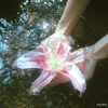 its.wanda_fy