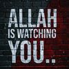 aliraza001gmail.com3