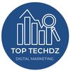top.techdz