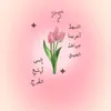 shahinaz5555