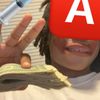moneychaserjay2.gibson