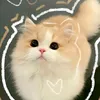 im_yourhanndaynek