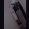 77exe.__