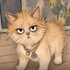 adiba_tabassum_06
