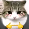 maiilan.2_k
