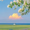 _n.duzong11_10