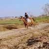 kiran91060