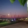 mnguynth0064