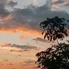 thieez_vieethhi