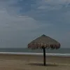 olal_777