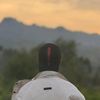 saikaungminthant24