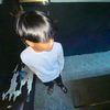 qasehh410
