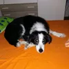 laura.violante7