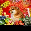 khang52471