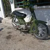 seldispaxiu